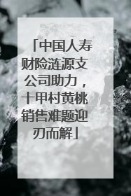 中国人寿财险涟源支公司助力，十甲村黄桃销售难题迎刃而解