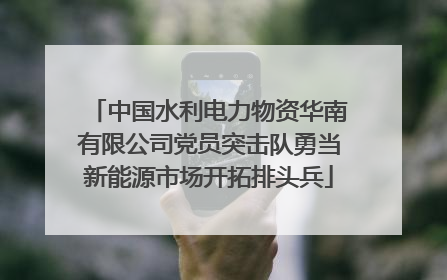 中国水利电力物资华南有限公司党员突击队勇当新能源市场开拓排头兵