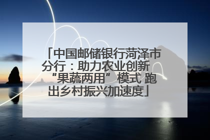 中国邮储银行菏泽市分行：助力农业创新 “果蔬两用”模式 跑出乡村振兴加速度