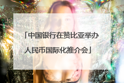中国银行在赞比亚举办人民币国际化推介会