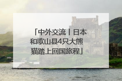 中外交流丨日本和歌山县4只大熊猫踏上回国旅程