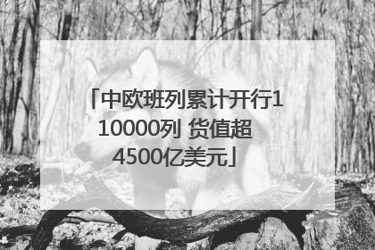 中欧班列累计开行110000列 货值超4500亿美元