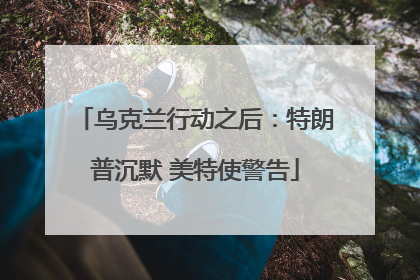 乌克兰行动之后：特朗普沉默 美特使警告