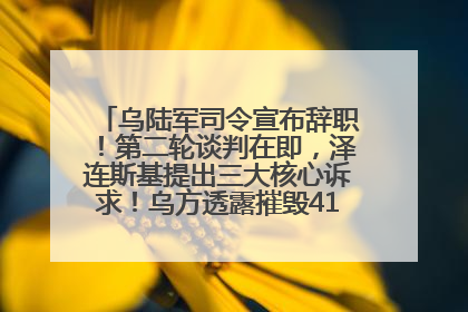 乌陆军司令宣布辞职！第二轮谈判在即，泽连斯基提出三大核心诉求！乌方透露摧毁41架俄战略轰炸机