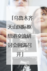 乌鲁木齐天山国际枢纽港交流研讨会圆满召开