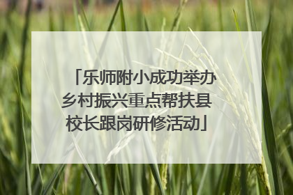 乐师附小成功举办乡村振兴重点帮扶县校长跟岗研修活动