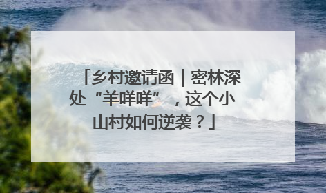 乡村邀请函｜密林深处“羊咩咩”，这个小山村如何逆袭？