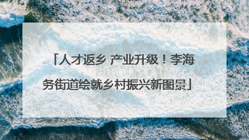 人才返乡 产业升级！李海务街道绘就乡村振兴新图景
