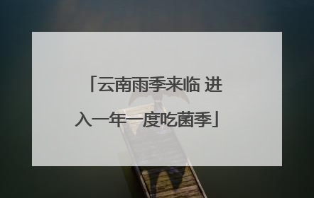 云南雨季来临 进入一年一度吃菌季