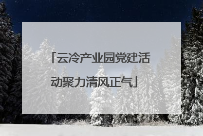 云冷产业园党建活动聚力清风正气