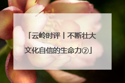 云岭时评丨不断壮大文化自信的生命力②