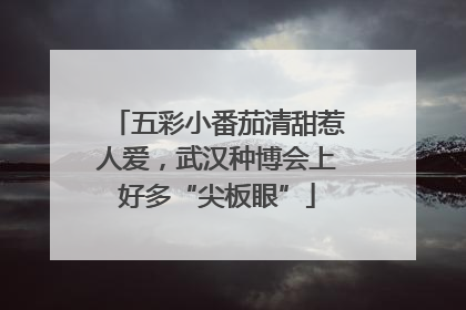 五彩小番茄清甜惹人爱，武汉种博会上好多“尖板眼”