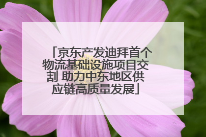 京东产发迪拜首个物流基础设施项目交割 助力中东地区供应链高质量发展