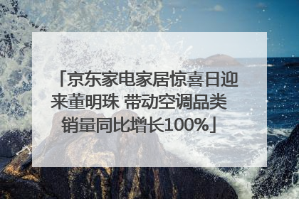 京东家电家居惊喜日迎来董明珠 带动空调品类销量同比增长100%
