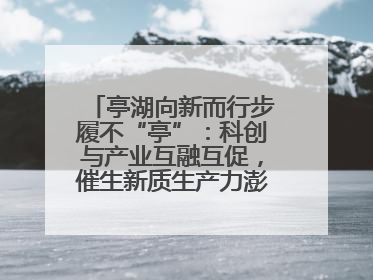亭湖向新而行步履不“亭”：科创与产业互融互促，催生新质生产力澎湃动能