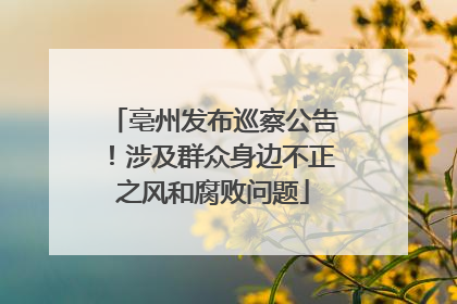 亳州发布巡察公告！涉及群众身边不正之风和腐败问题