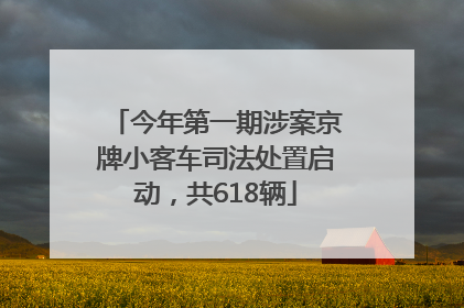 今年第一期涉案京牌小客车司法处置启动，共618辆