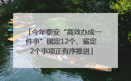 今年泰安“高效办成一件事”国定12个、省定2个事项正有序推进