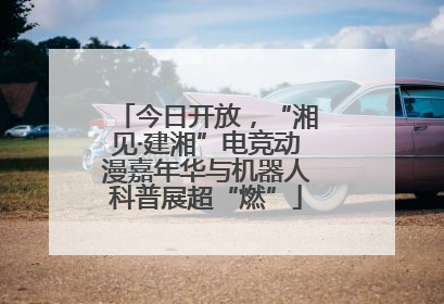 今日开放，“湘见·建湘”电竞动漫嘉年华与机器人科普展超“燃”