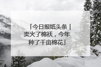 今日报纸头条｜卖火了棉袄，今年种了千亩棉花