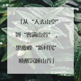 从“人去山空”到“客满山谷”，黑麋峰“新村民”唤醒沉睡山谷