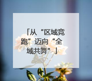 从“区域竞跑”迈向“全域共舞”