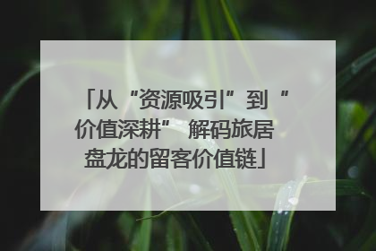 从“资源吸引”到“价值深耕” 解码旅居盘龙的留客价值链