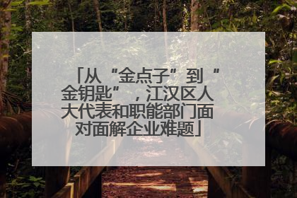 从“金点子”到“金钥匙”，江汉区人大代表和职能部门面对面解企业难题