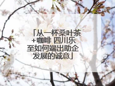 从一杯桑叶茶+咖啡 四川乐至如何端出助企发展的诚意