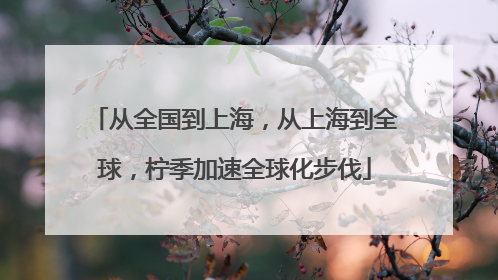 从全国到上海，从上海到全球，柠季加速全球化步伐