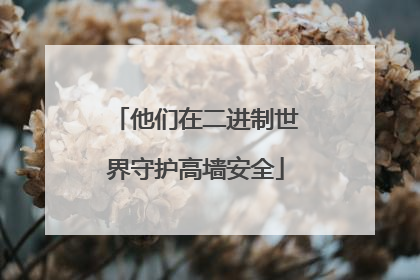 他们在二进制世界守护高墙安全