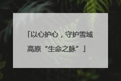以心护心，守护雪域高原“生命之脉”
