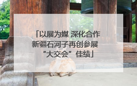 以展为媒 深化合作 新疆石河子再创参展“大交会”佳绩
