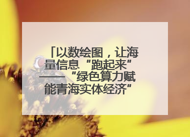 以数绘图，让海量信息“跑起来”——“绿色算力赋能青海实体经济”系列报道①