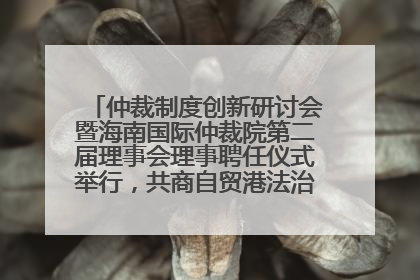 仲裁制度创新研讨会暨海南国际仲裁院第二届理事会理事聘任仪式举行，共商自贸港法治建设新路径
