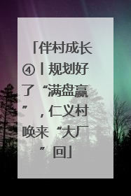 伴村成长④丨规划好了“满盘赢”，仁义村唤来“大厂”回