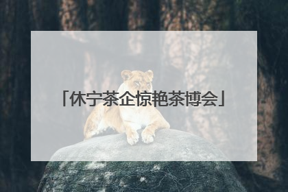 休宁茶企惊艳茶博会