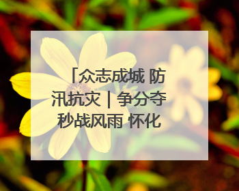 众志成城 防汛抗灾｜争分夺秒战风雨 怀化市全力以赴守护人民群众安全