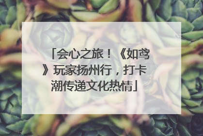 会心之旅！《如鸢》玩家扬州行，打卡潮传递文化热情