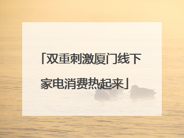双重刺激厦门线下家电消费热起来