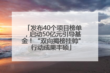发布40个项目榜单，启动50亿元引导基金！“双向揭榜挂帅”行动成果丰硕