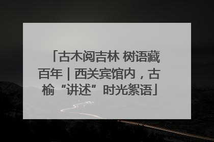 古木阅吉林 树语藏百年｜西关宾馆内，古榆“讲述”时光絮语