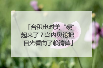 台积电对美“硬”起来了？岛内舆论把目光看向了赖清德