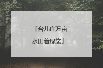 台儿庄万亩水田着绿裳