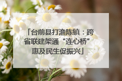 台前县打渔陈镇：跨省联建架通“连心桥” 惠及民生促振兴