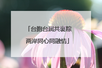 台胞台属共裹粽 两岸同心同融情