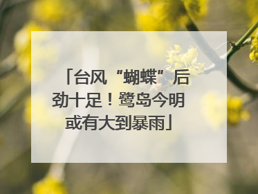 台风“蝴蝶”后劲十足！鹭岛今明或有大到暴雨