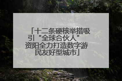 十二条硬核举措吸引“全球合伙人” 资阳全力打造数字游民友好型城市