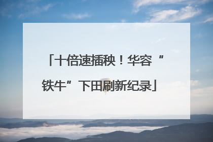 十倍速插秧！华容“铁牛”下田刷新纪录