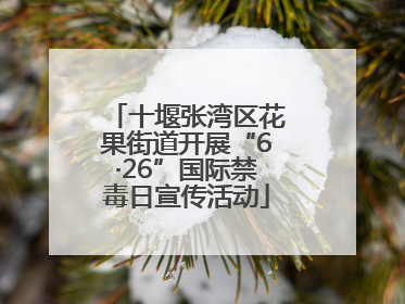 十堰张湾区花果街道开展“6·26”国际禁毒日宣传活动